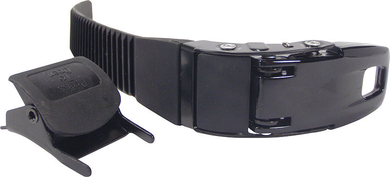 File:Parts-Seba Top buckles.jpg