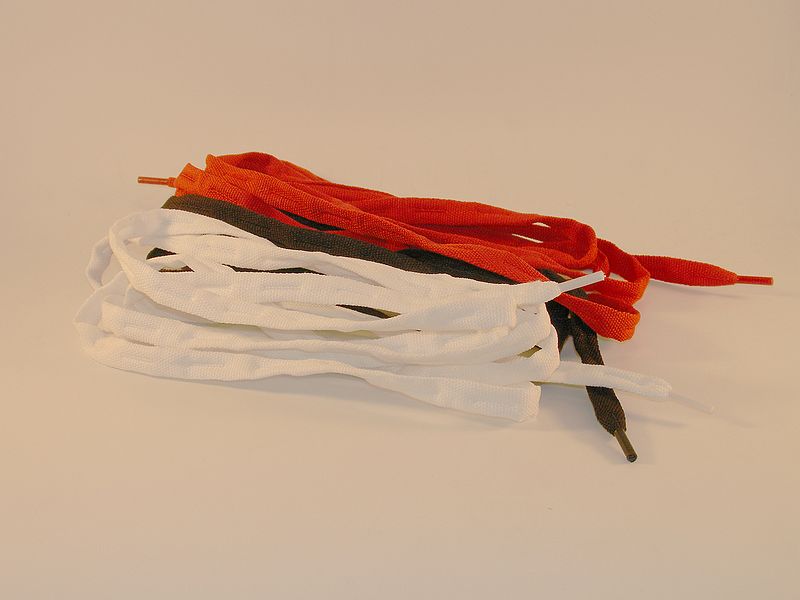 File:Parts-Seba Laces.jpg